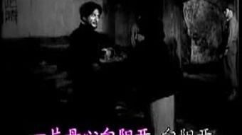 成人222视频,揭秘现实与虚拟的交融世界