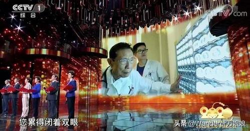 成人双人朗诵素材视频,成人双人朗诵素材视频赏析