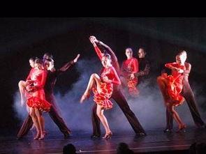 成人风格舞蹈视频教学,轻松入门，舞动人生