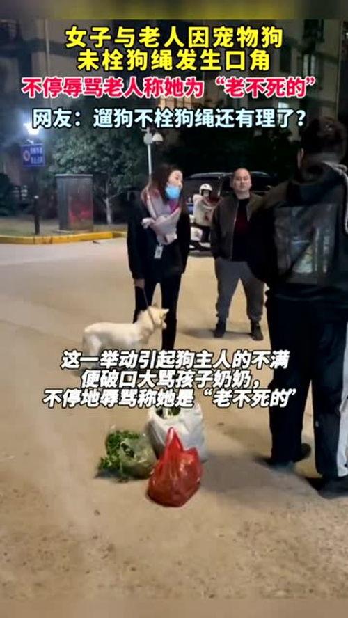 成人女性遛狗视频,女性与宠物共度的温馨日常