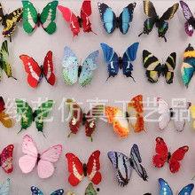 成人蝴蝶弹簧怎么用视频,轻松掌握运动新体验