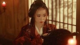 成人古风视频在线观看,成人古风视频在线观看指南